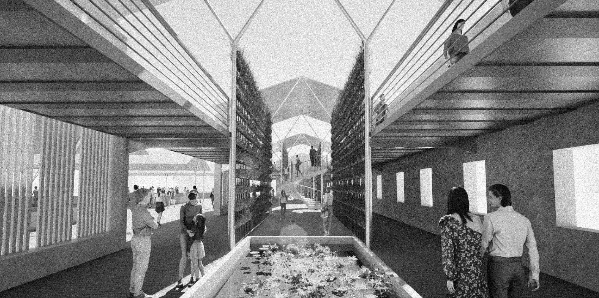 Interior cultivation space at R-Gen Farm
